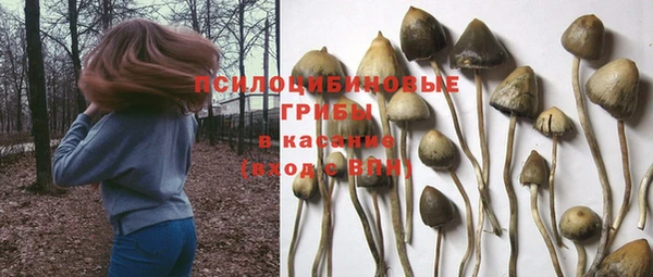метамфетамин Медвежьегорск