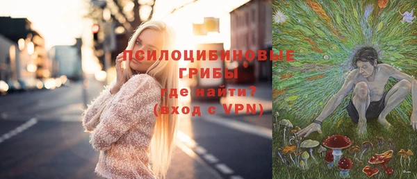 спиды Мегион