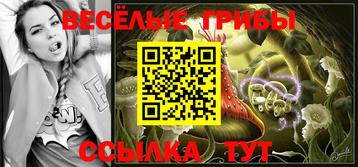 Псилоцибиновые грибы Psilocybe  Вход с VPN  Бийск 