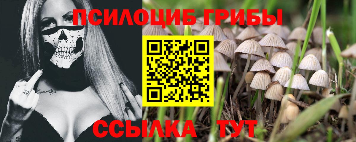 Псилоцибиновые грибы мухоморы Бийск
