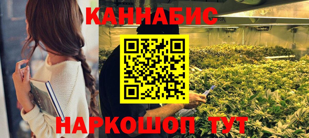 МАРИХУАНА конопля Бийск